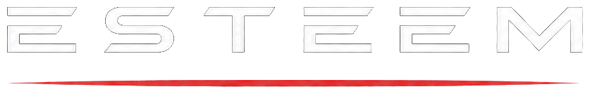 ESTEEM